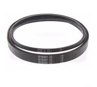 Kit de correa de transmisión de arranque para carrito de golf para modelos anteriores 2004 a la actualidad y modelos 1997 a la actualidad OEM 1016203 101916701 (C)