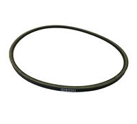 Kit de correa de transmisión de goma y correa de arranque para carritos de coche Club - Compatible con modelos Precedent y DS, reemplazo directo OEM para números de pieza 101916701 y 1016203 (A)