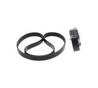 BOSCH Juego de correas trapeciales poli V 1 987 600 717 Compatible con RENAULT Megane 4 Grandtour K9A/M/N Megane 4 Hatchback B9A/M/N Talisman Grandtour KP Espace 5 JR Talisman Sedán L2M, LP