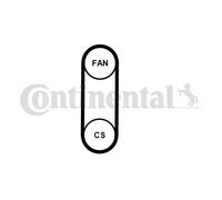 Kit de correa trapezoidal acanalada 4PK711 ELAST T1 CONTINENTAL CTAM para VW