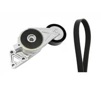 INA Juego de correas Poly V 529 0429 10 para Audi A3, VW, Skoda, Seat