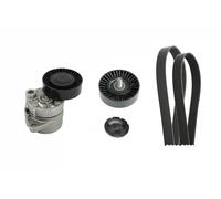 Juego de correas poly V INA 529 0439 10