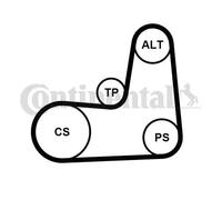 Kit de correa trapezoidal acanalada 5PK1135K2 CONTINENTAL CTAM para RENAULT