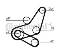 Kit de correa trapezoidal acanalada 6PK1059 ELAST T2 CONTINENTAL CTAM para FORD