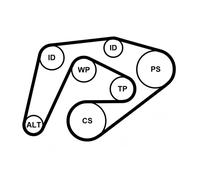 Kit de correa trapezoidal acanalada 6PK2260K3 CONTINENTAL CTAM