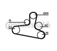 Kit de correa trapezoidal acanalada con polea cigüeñal excl. rodillo tensor