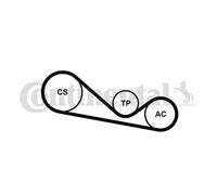 Kit de correa trapezoidal acanalada incl. rodillo tensor 4PK1237K1 para AUDI VW