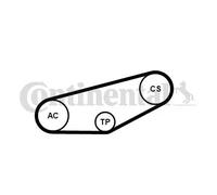 ContiTech Correa de distribución 4PK855 K1 para VW Passat, Audi A4/A6/Cabriolet, Skoda Superb