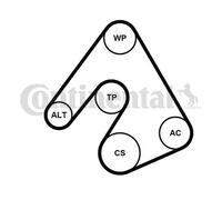 CONTITECH 5PK1207K1 Juego de correas trapeciales poli V