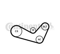 Kit de correa trapezoidal acanalada incl. rodillo tensor 6PK1080K1 para SKODA VW