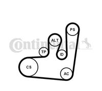 CONTITECH Juego de correas auxiliares servicios para VOLKSWAGEN: Sharan, Golf, Passat, Polo, Golf Cabriolet, Caddy, Vento (Ref: 6PK1145K1)