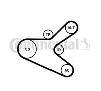 Kit de correa trapezoidal acanalada incl. rodillo tensor 6PK1153K2 para PEUGEOT