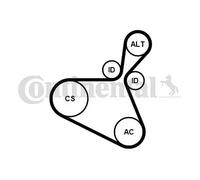 CONTITECH 6PK1179 EXTRA K1 Juego de correas trapeciales poli V
