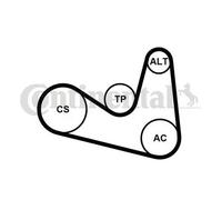 Kit de correa trapezoidal acanalada incl. rodillo tensor 6PK1180K2 para SKODA VW