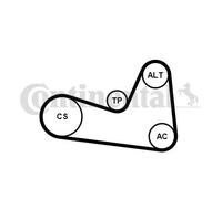 Kit de correa trapezoidal acanalada incl. rodillo tensor 6PK1200K1 para RENAULT