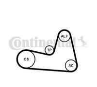 CONTITECH Juego de correas auxiliares servicios para RENAULT: MÃ©gane, ScÃ©nic, Clio, Kangoo, Modus, Twingo, Thalia & NISSAN: Micra (Ref: 6PK1200K2)