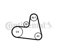 Kit de correa trapezoidal acanalada incl. rodillo tensor 6PK1217K1 para PEUGEOT