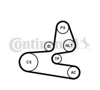 Kit de correa trapezoidal acanalada incl. rodillo tensor 6PK1564K1 para CITROËN
