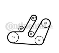 Continental 6PK1580K1 - Kit de correa para accesorios