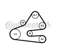 Contitech - 6pk1613 K1 correa de distribución