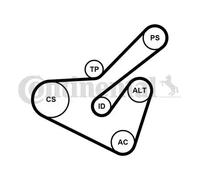 Kit de correa trapezoidal acanalada incl. rodillo tensor 6PK1725K2 para CITROËN