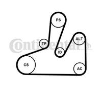 CONTITECH Juego de correas auxiliares servicios para LANCIA: Phedra & FIAT: Ulysse & CITROËN: C5, C8 & PEUGEOT: 406, 607, 807 (Ref: 6PK1740K4)