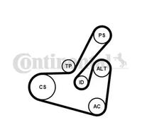Contitech - 6pk1750 K1 correa de distribución
