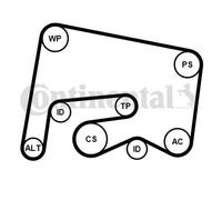 Kit de correa trapezoidal acanalada incl. rodillo tensor 6PK2155K1