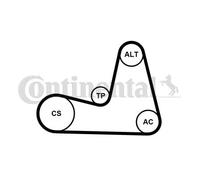 CONTITECH Juego de correas auxiliares servicios para RENAULT: Clio, Modus, Twingo, Wind (Ref: 7PK1035K1)