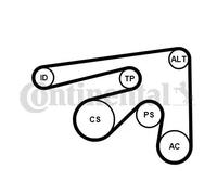 Kit de correa trapezoidal acanalada incl. rodillo tensor 7PK2061K1 para HONDA
