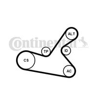Kit de correa trapezoidal acanalada incl. rodillos guía 6PK1125K1 para RENAULT