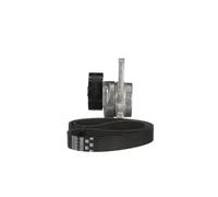 Gates Kit de correa trapezoidal acanalada K016PK1025 para VW, SEAT, Audi, Skoda