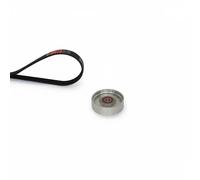 Gates Juego de correas trapeciales poli V K066PK1113 para NISSAN Primera, Almera, Almera Tino