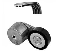 Juego de correas poly V DAYCO KPV521