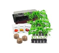 Kit de cultivo con semillas de tomate: 100% biológico / 1