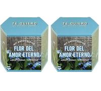 Kit de Cultivo Flor del Amor Eterno | Cultiva un Símbolo de Amor Verdadero en Casa | Regalo Original y con Significado | Resetea (Paquete de 2)