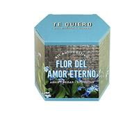 Kit de Cultivo Flor del Amor Eterno | Cultiva un Símbolo de Amor Verdadero en Casa | Regalo Original y con Significado | Resetea