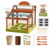 Kit De Cultivo Flores En Invernadero Niños Juguete Educativo Ciencia