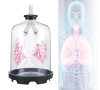 Kit de demostración de modelo de respiración pulmonar: simulador transparente del movimiento del diafragma para la enseñanza de biología y anatomía