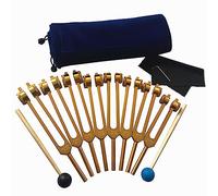 Kit De Diapasón De 8 Piezas, 7 Chakras + 1 Alma, 126,22 Hz, 136,1 Hz, 141,27 Hz, 172,06 Hz, 194,18 Hz, 210,42 Hz, 221,23 Hz, 272,2 Hz, Con Martillo Y Bolsa