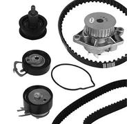 METELLI Bomba de Agua + Dentadas para VW Golf IV 1J1 5K1 1K1 Seat Ibiza