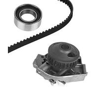 METELLI Bomba de Agua + Dentadas para Fiat Panda 169 Punto 188_ 176_ Lancia