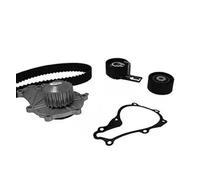 METELLI Bomba de Agua + Kit Correas Dentadas para Ford Fiesta V Fusión 30-0859-3