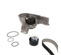 Kit de distribución + bomba de agua 30-0900-2 METELLI para FIAT DUCATO Autobús