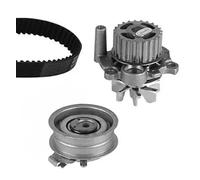 METELLI Bomba de Agua + Dentadas para VW Golf IV 1J1 Nuevo Beetle 9C1 1C1