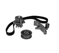 METELLI Bomba de Agua + Kit Correas Dentadas para Audi A4 Avant 8ED B7 8E5 B6