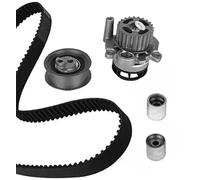 Kit de distribución + bomba de agua 30-0980-1 METELLI para VW AUDI SEAT SKODA
