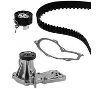 METELLI Bomba de Agua + Dentadas para Ford Fiesta VI Focus II Familiar Da _