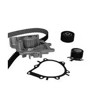 Kit de distribución + bomba de agua 30-1049-1 METELLI para PEUGEOT LAND ROVER