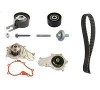 Kit de distribución + bomba de agua 530 0375 30 INA para FORD PEUGEOT CITROËN